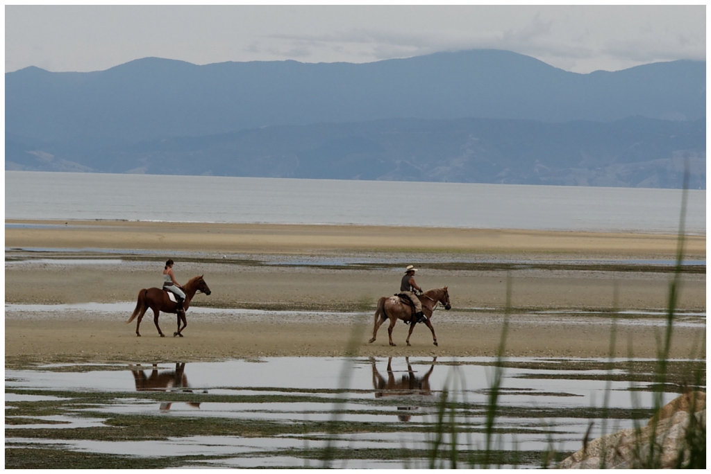 13 - Abel Tasman NP (02).jpg